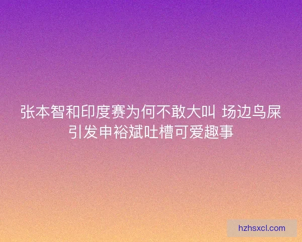 张本智和印度赛为何不敢大叫 场边鸟屎引发申裕斌吐槽可爱趣事